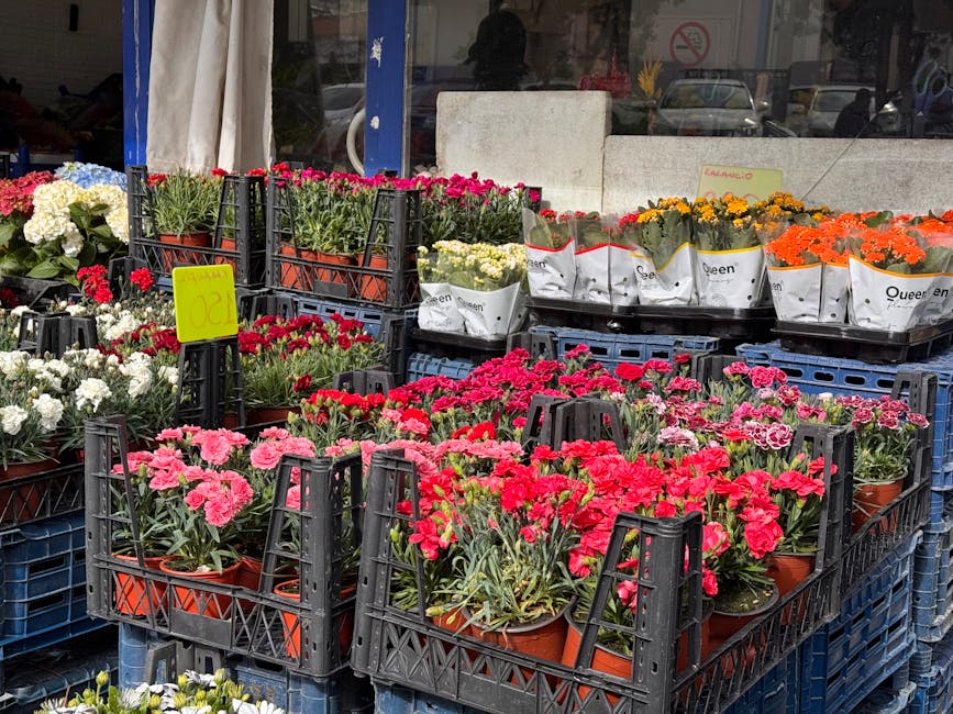 A selection of vibrant potted flowers arranged in black plastic crates outside a flower shop, featuring pink, red, orange, white, and yellow blooms with lush green foliage. The flowers appear fresh wi